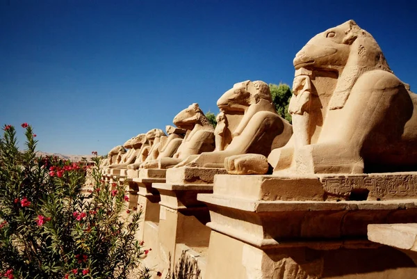 Ägypten Luxor Januar 2016 Luxortempel — Stockfoto