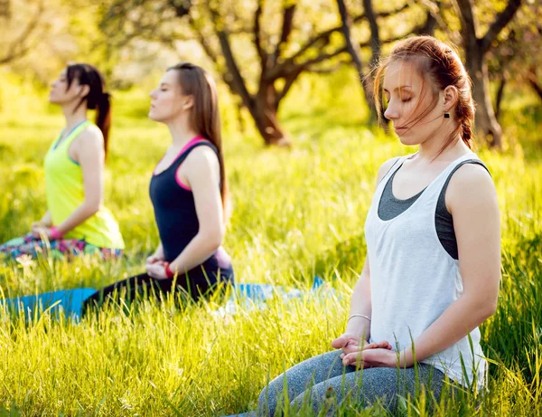 Pratik Yoga Park üç genç kız