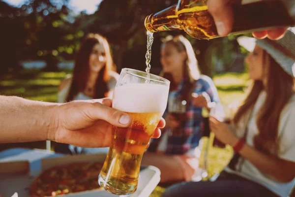 Cheerful friends drinking beer on picnic in park.