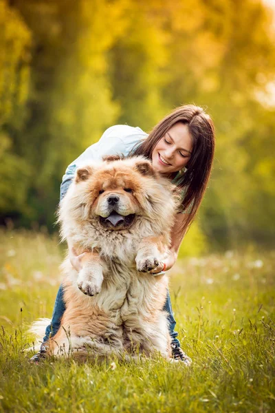 Ung Brunett Kvinna Med Hennes Hund Chow Chow Promenader Parken — Stockfoto