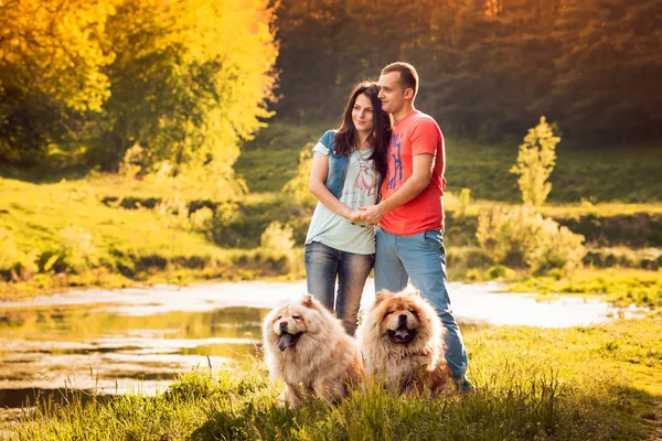 Fiatal Pár Kutyák Chow Chow Sétál Parkban Idő — Stock Fotó