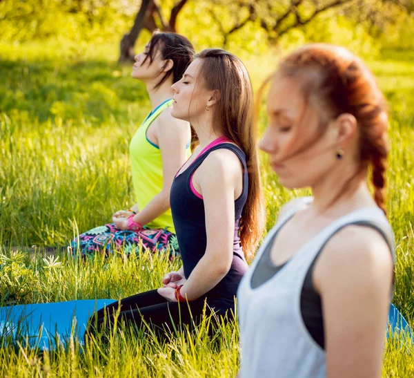 Pratik Yoga Park üç genç kız