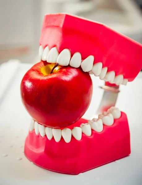 Dentures biting an apple. Funny joke