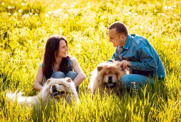 Genç çift ile onların köpekleri uyumak parkta yürüyüş ve having fun