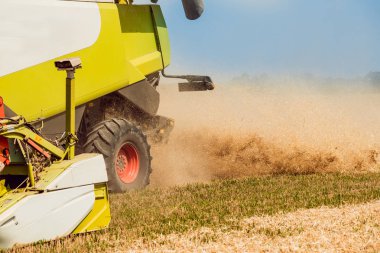 Biçerdöver buğday alan eylem içinde birleştirir. Olgun bir ürün tarladan toplama işlemi.