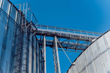 Modern silolar Tahıl hasat depolamak için. Tarım. 