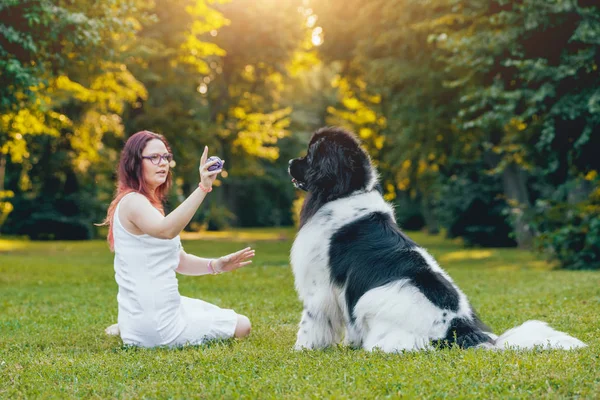 Terranova Cane Gioca Con Donna Caucasica Nel Parco Verde — Foto Stock