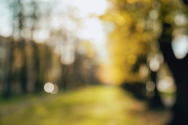 Yeşil Şehir Parkı Önden Görünüm sokak üzerinde arka plan bulanık