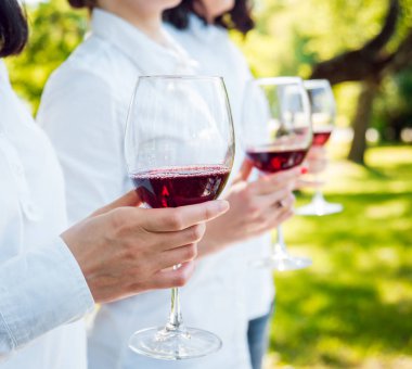 Üç kız parkta kırmızı şarap gözlüklü. Kırpılmış.