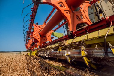 Biçerdöver buğday alan eylem içinde birleştirir. Olgun bir ürün tarladan toplama işlemi.