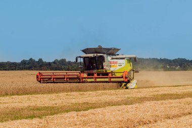 Biçerdöver buğday alan eylem içinde birleştirir. Olgun bir ürün tarladan toplama işlemi.