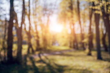 Yeşil Şehir Parkı Önden Görünüm sokak üzerinde arka plan bulanık