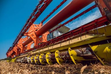 Biçerdöver buğday alan eylem içinde birleştirir. Olgun bir ürün tarladan toplama işlemi.