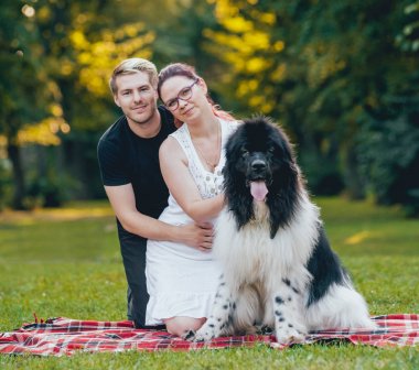Genç çift yeşil park ile siyah ve beyaz Newfoundland köpek çalış
