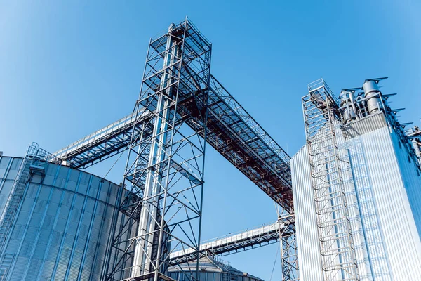 Silos Modernes Pour Stocker Récolte Des Grains Agriculture Angle Bas — Photo