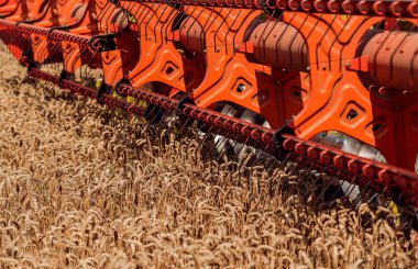 Biçerdöver buğday alan eylem içinde birleştirir. Olgun bir ürün tarladan toplama işlemi.