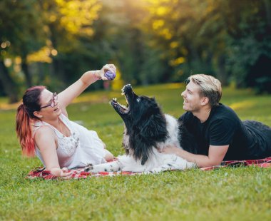 Genç çift yeşil park ile siyah ve beyaz Newfoundland köpek çalış