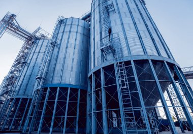 Modern silolar Tahıl hasat depolamak için. Tarım. Düşük açılı.