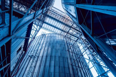 Modern silolar Tahıl hasat depolamak için. Tarım. Düşük açılı.