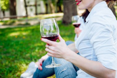 Genç güzel kız parkta kırmızı şarap ile.