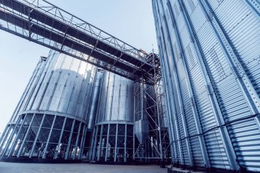 Modern silolar Tahıl hasat depolamak için. Tarım. Düşük açılı.