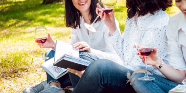 Üç genç kız enjoing kırmızı şarap Park.