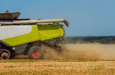 Biçerdöver buğday alan eylem içinde birleştirir. Olgun bir ürün tarladan toplama işlemi.