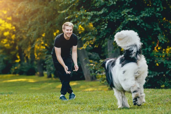 Svart Och Vitt Newfoundland Hund Leker Med Ung Blondin Kaukasiska — Stockfoto