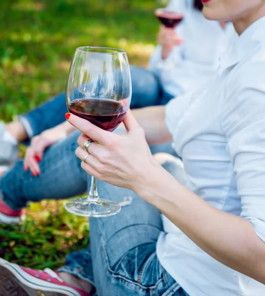 Jeunes Filles Avec Des Verres Vin Rouge Sur Pique Nique — Photo