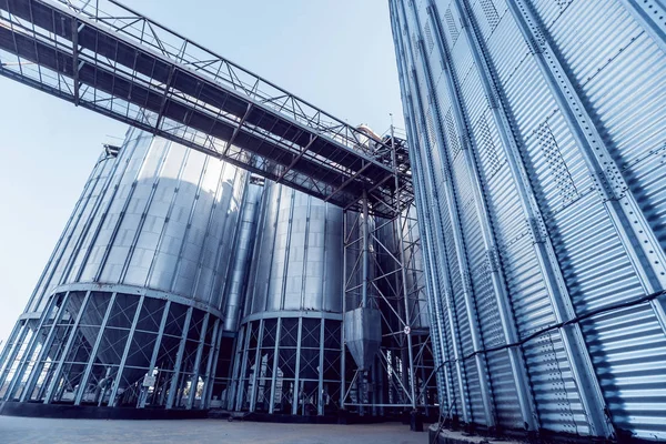 Modern silos for storing grain harvest. Agriculture. Low angle.