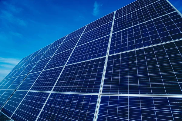Panneaux Solaires Photovoltaïques Source Électricité Alternative — Photo