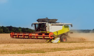 Biçerdöver buğday alan eylem içinde birleştirir. Olgun bir ürün tarladan toplama işlemi.