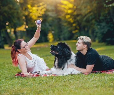 Genç çift yeşil park ile siyah ve beyaz Newfoundland köpek çalış
