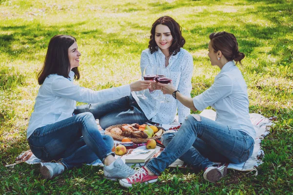 Tři Mladé Krásné Dívky Lahodilo Piknik Parku — Stock fotografie
