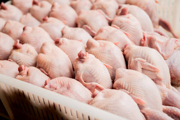 Fresh chicken bodies in a basket. Background