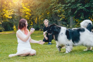 Genç çift yeşil park ile siyah ve beyaz Newfoundland köpek çalış