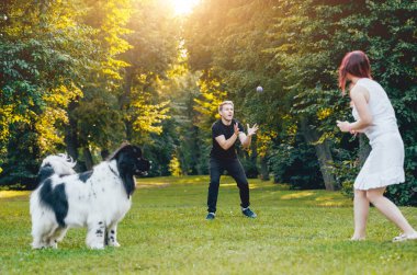 Genç çift yeşil park ile siyah ve beyaz Newfoundland köpek çalış