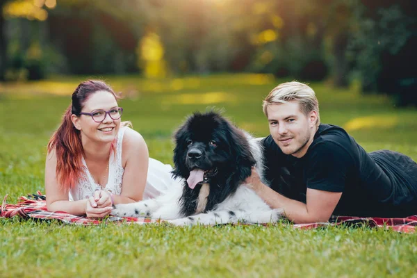 Genç çift yeşil park ile siyah ve beyaz Newfoundland köpek çalış