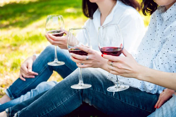 Piknik Park kırmızı şarap gözlüklü genç kızlar.