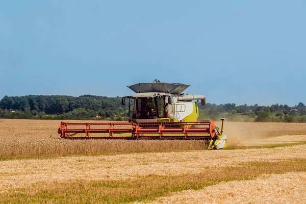 Biçerdöver buğday alan eylem içinde birleştirir. Olgun bir ürün tarladan toplama işlemi.