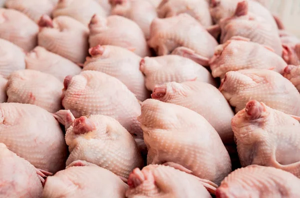 Sepet içinde taze tavuk organları. Arka plan