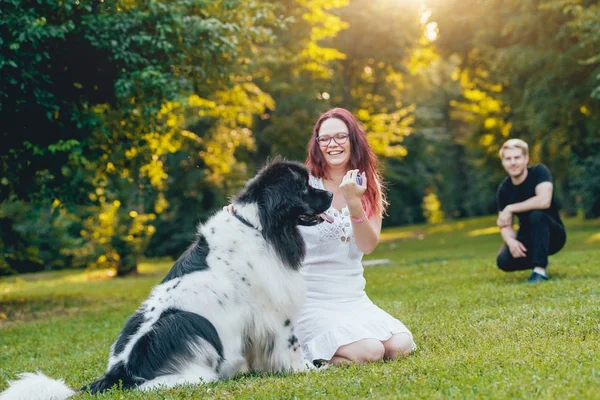 Genç çift yeşil park ile siyah ve beyaz Newfoundland köpek çalış