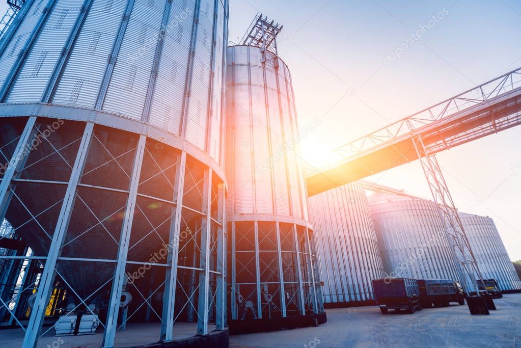 Modern silos for storing grain harvest. Agriculture. 