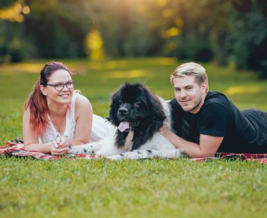 Genç çift yeşil park ile siyah ve beyaz Newfoundland köpek çalış