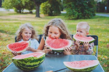 Yeşil Yaz parkta karpuz yeme çocuklu büyük aile