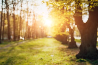 Yeşil Şehir Parkı Önden Görünüm sokak üzerinde arka plan bulanık