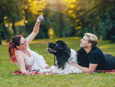 Genç çift yeşil park ile siyah ve beyaz Newfoundland köpek çalış