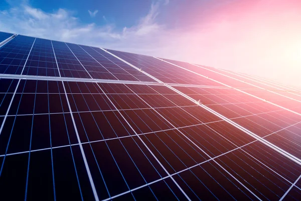 Panneaux Solaires Photovoltaïques Source Électricité Alternative — Photo