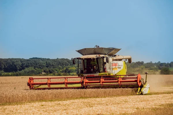 Biçerdöver buğday alan eylem içinde birleştirir. Olgun bir ürün tarladan toplama işlemi.