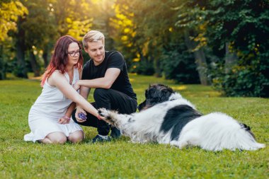 Genç çift yeşil park ile siyah ve beyaz Newfoundland köpek çalış